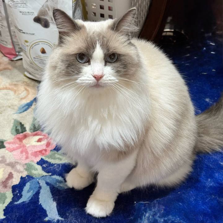 09c687c1 9c59 4ff4 a30c 53a2a654499a 1763723974276