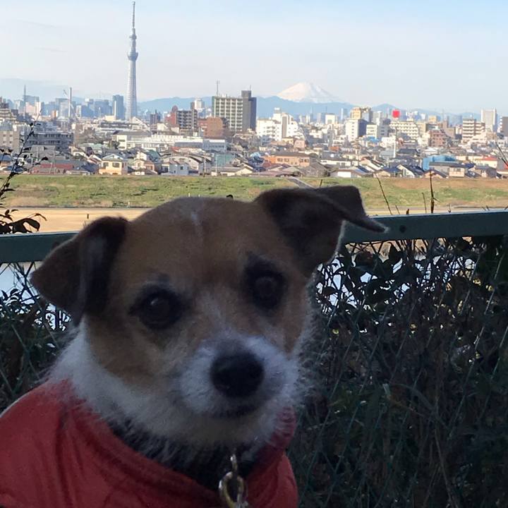 09c6a9ef 3ce7 4b90 acef 018be94d3ebd 1546302142350