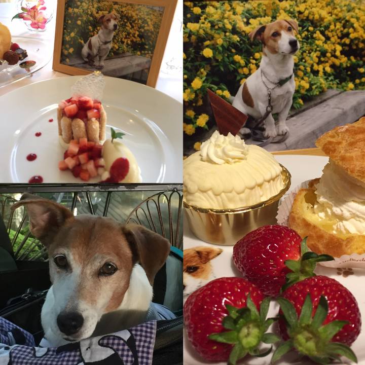 09c6e9b6 d09c 4bcf 8ecb de9667fca00f 1556365557724