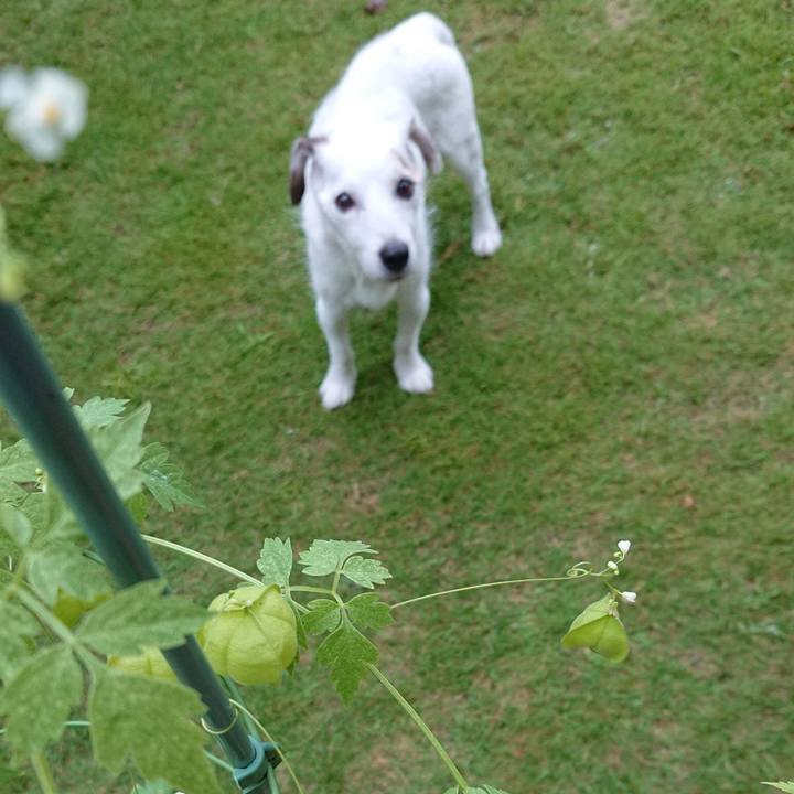 09c6f7c5 cba2 4f6a 9491 71f93ac36803 1600128530853