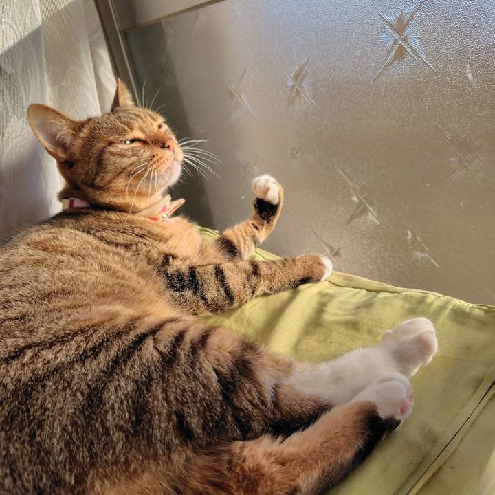 09c6ff3c 7754 40d6 adca fa8114128c6c 1763945949955