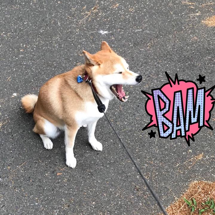 09c71cab 0854 49e9 adc2 f66330f9acc1 1530707307820