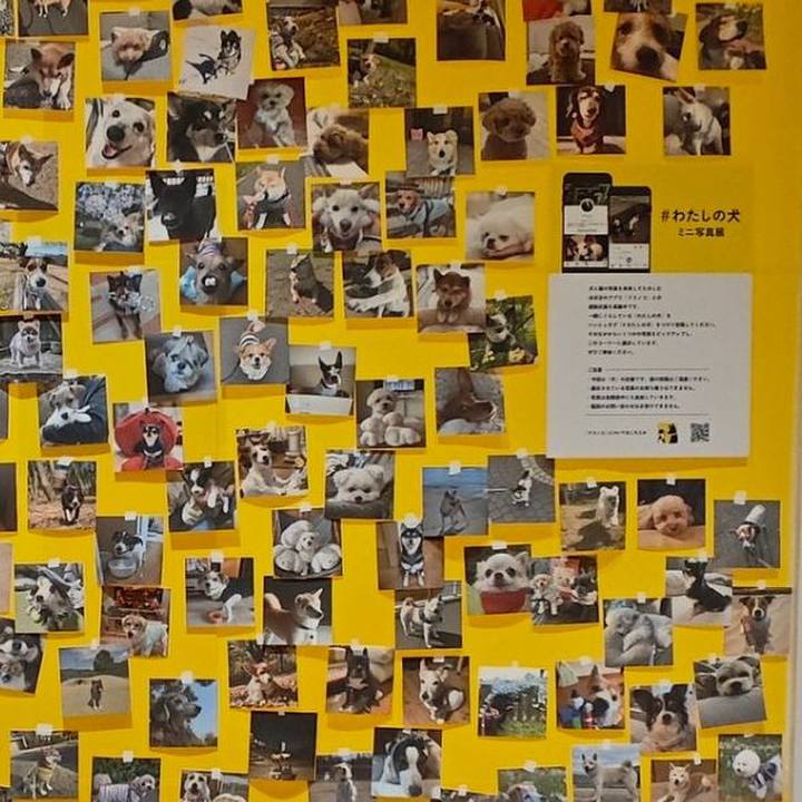 09c7973c 7b8b 4691 9815 48100c7b34ee 1774276022778