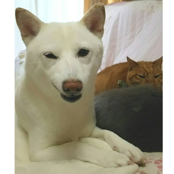 09c7c240 6c97 400b b980 53f1597d6ea1 1542761634353