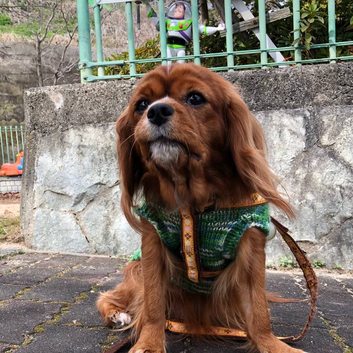 09c7c385 a44c 4829 9831 2dc8d15a0530 1579406644703