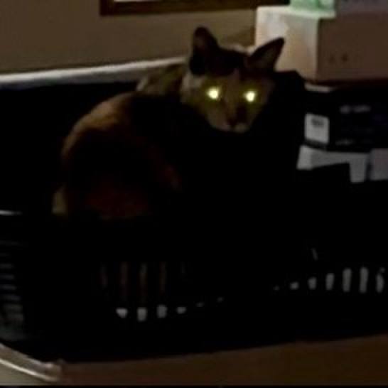 09c7dd90 1afb 4d20 bfbb 3c95d539b9d8 1749936340352