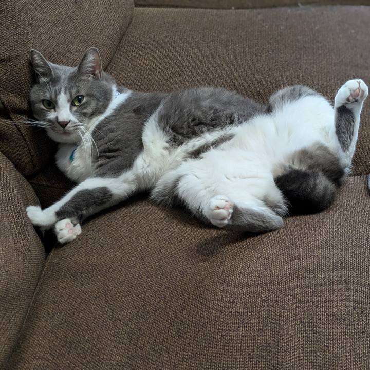 09c7ef30 7a07 46c2 b121 c79b5a30693d 1729658428986