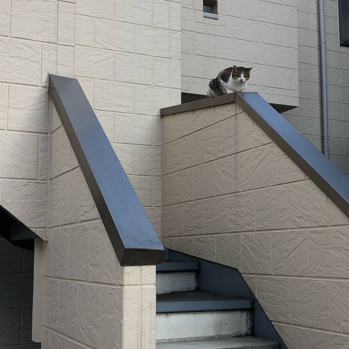 09c7ff16 1139 4b77 bfc6 273d36ac29e0 1540787596907