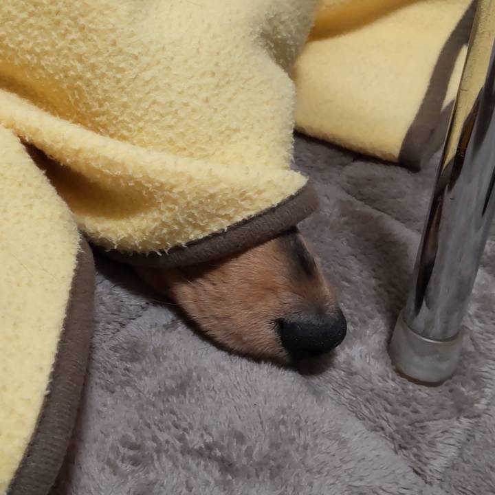 09c7ff46 4cd8 41cb 83bf 8f59cb7d554c 1709120396028