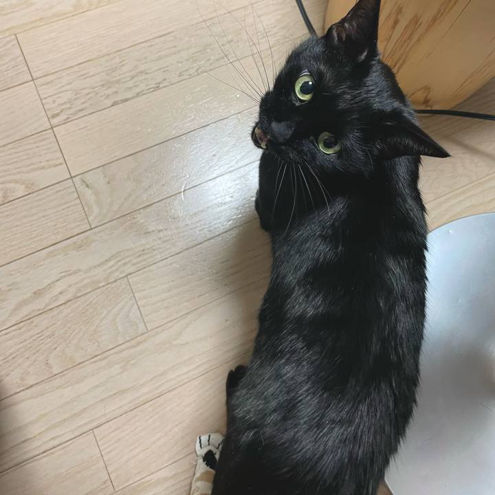 09c81e21 4d19 4c34 8ad5 bab74b8ad2cf 1644158798710