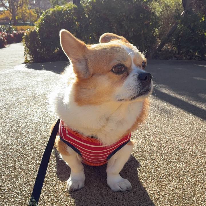 09c83c91 1711 4b2c 835c 17d20b15bdb0 1765758082307