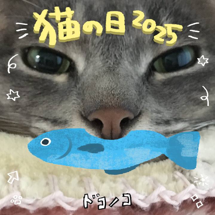 09c86d80 bfc5 4679 a9b4 3ad3477aba7b 1740146740534