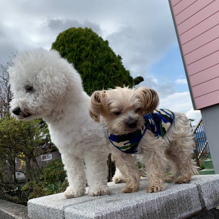 09c8bea2 18b3 4f55 a244 ae95ff01d809 1556930203842