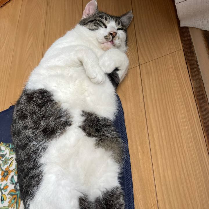 09c9566c 877e 4ee6 b0a0 383c53c50a9c 1631939364353