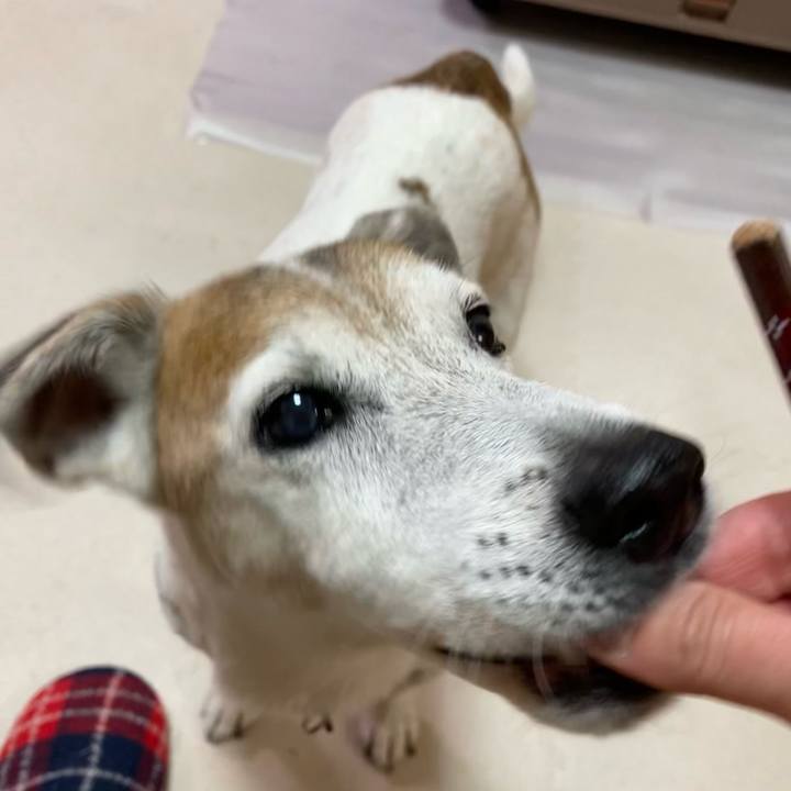 09c97164 295d 429e 8390 647f0d1ca078 1609333273665