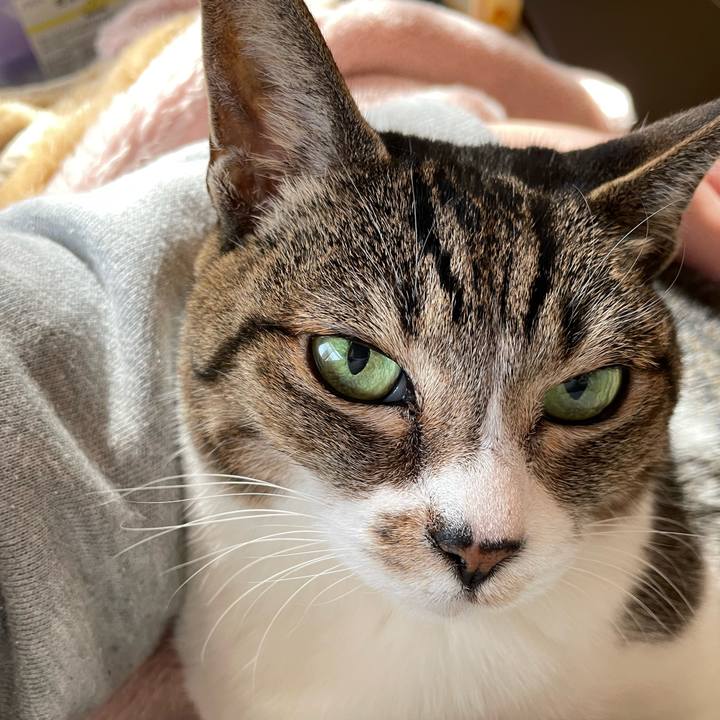 09c99527 ecb2 4e4a bb47 db97c138e80a 1641089027864