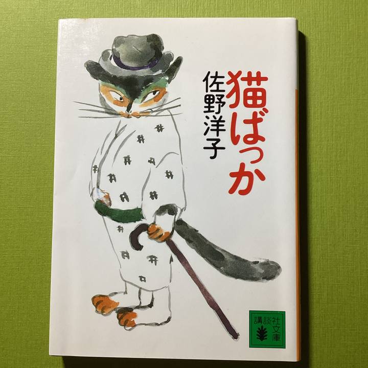 09c99bdc a891 446e a95c 37a051a658e8 1692963643730