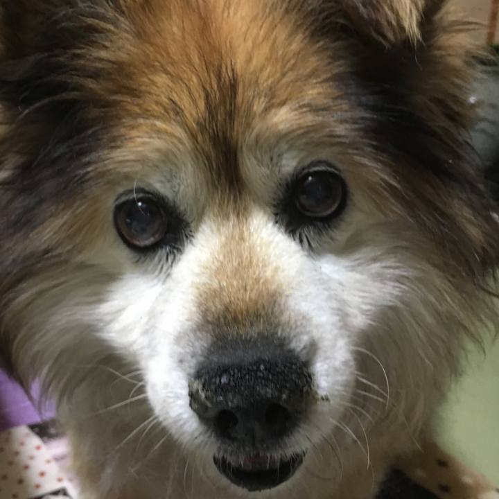 09c9ab4e 1c6f 428c a38b 47e46337837f 1607140212290