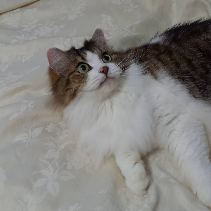 09c9b1f2 bd0e 4571 b4da e6e1104f08a5 1633993571679