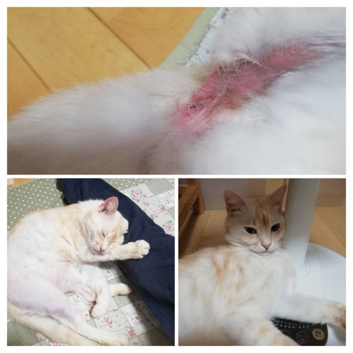 09c9baf1 9871 408f adc9 aced045bbcdb 1694819865927