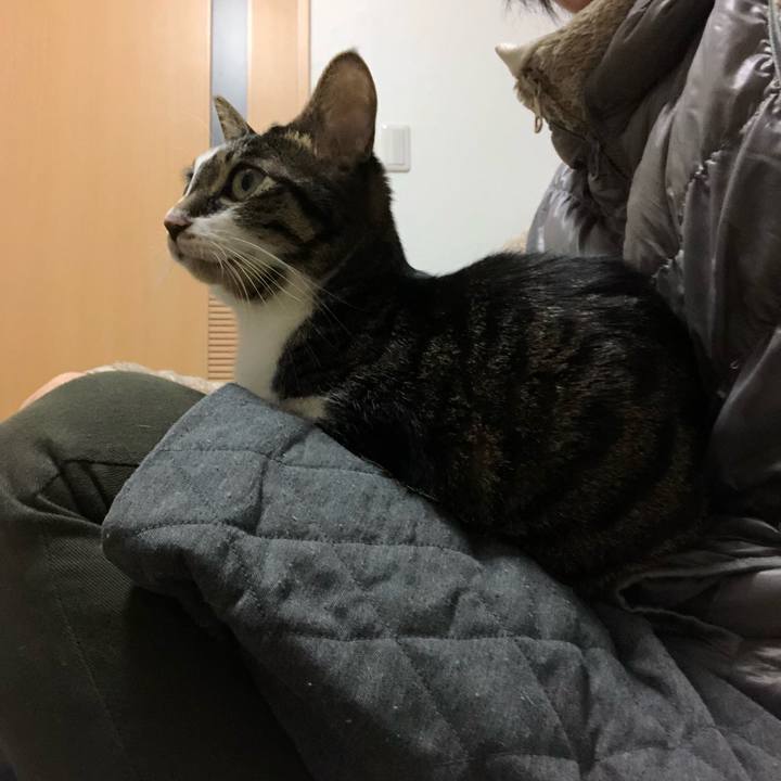 09ca1800 9e9b 4aef 8ef4 297f950df4c8 1516107447563