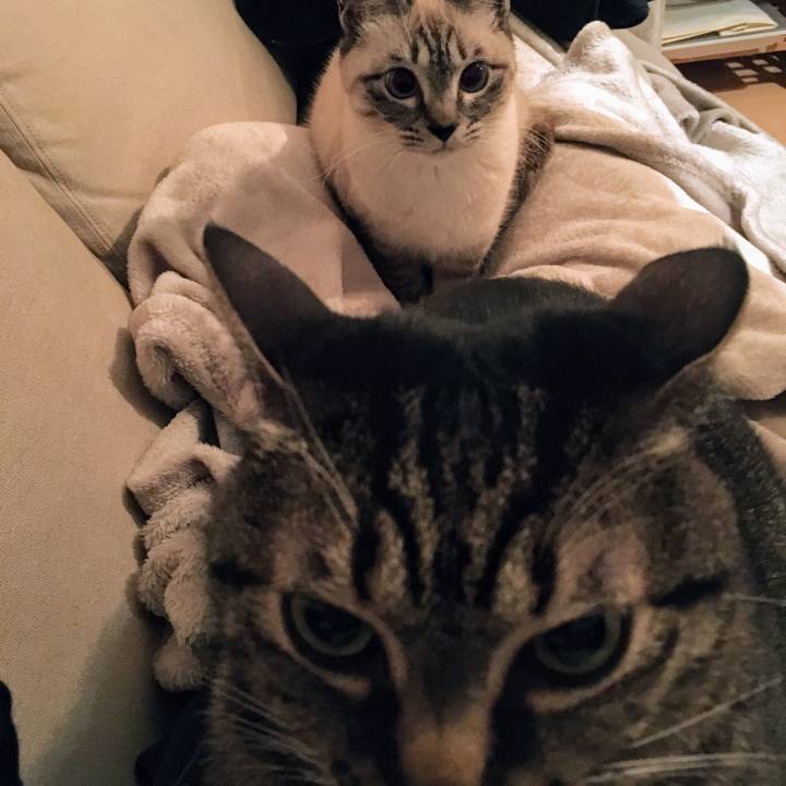 09ca3b86 95a0 4577 bd9b 66b592f5bd0c 1551881104315