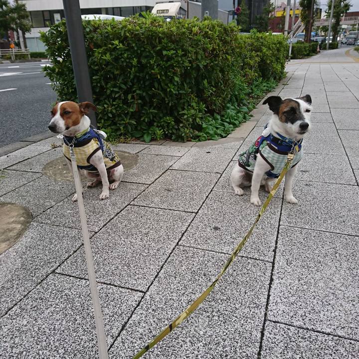 09ca4dc2 b217 4259 bc3d 6dc7522f0870 1571867419536