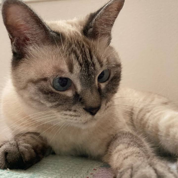 09cab2f1 eab7 4218 b52b ea7501b3b30d 1692833774421