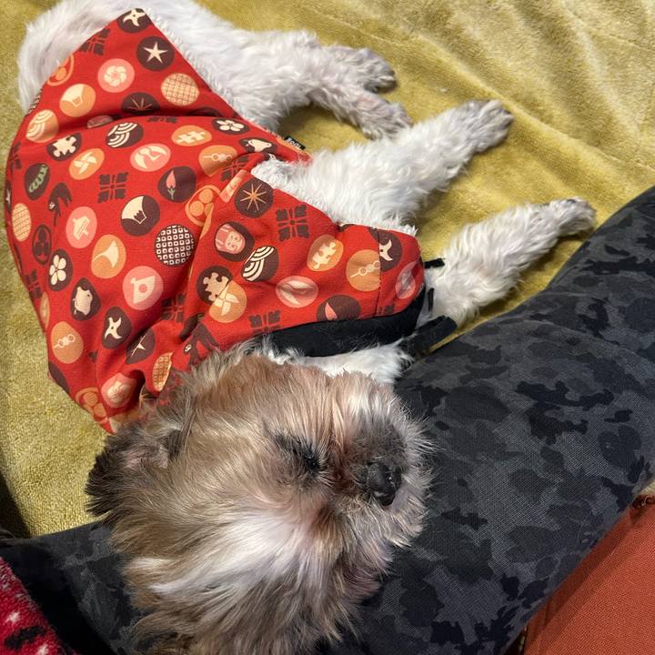 09cadeeb 18c2 4b55 a878 71a3576091d8 1704012554777