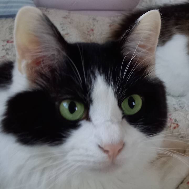 09cb481f ac4f 4ab8 9fb8 028fa4e6b400 1610148529815