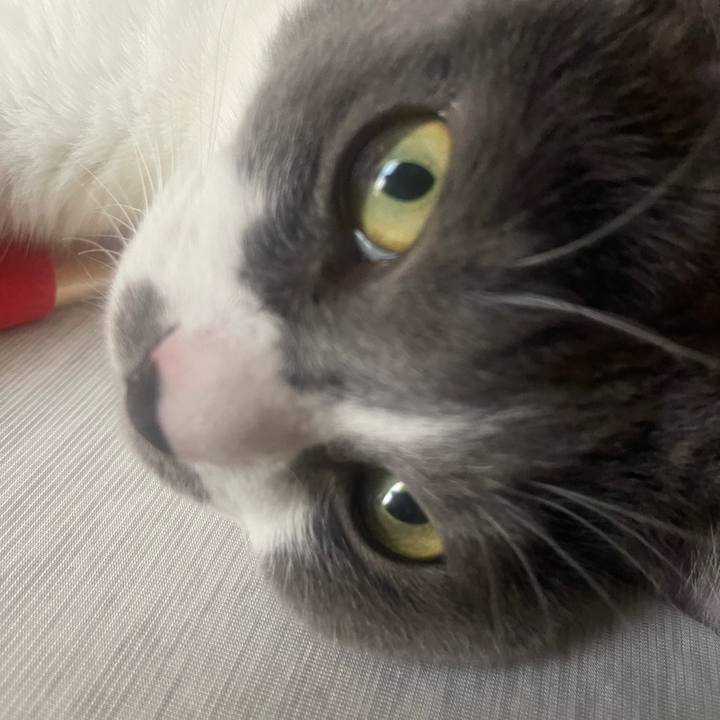 09cb6259 7b7f 4c5e 867d 703da30aaf5b 1756771274812