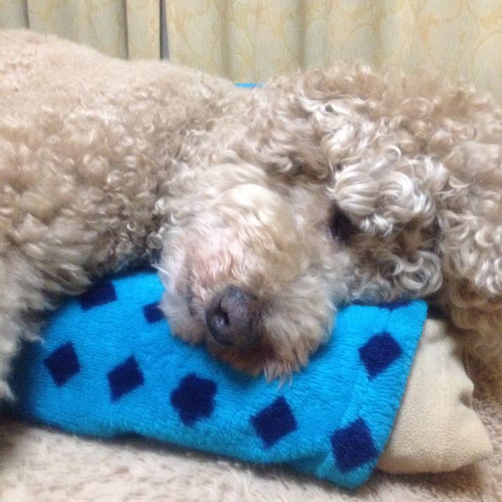 09cb66a9 ce34 4d00 aeef 516ab2c31901 1540630085545