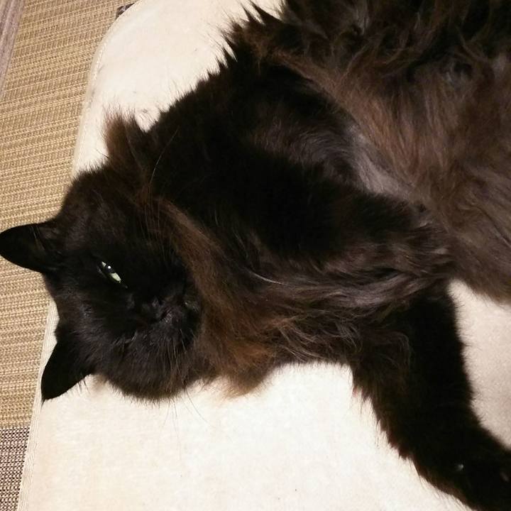 09cb7096 f400 4523 b587 301a51bea4b3 1545311272210