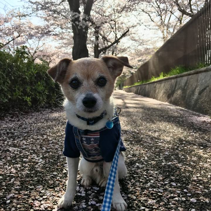 09cb72c4 a42b 4d0c b506 a9434446c0fd 1649152806039