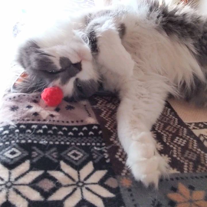 09cb8528 73d9 43cf 987f 8c980ddbe093 1687583104367