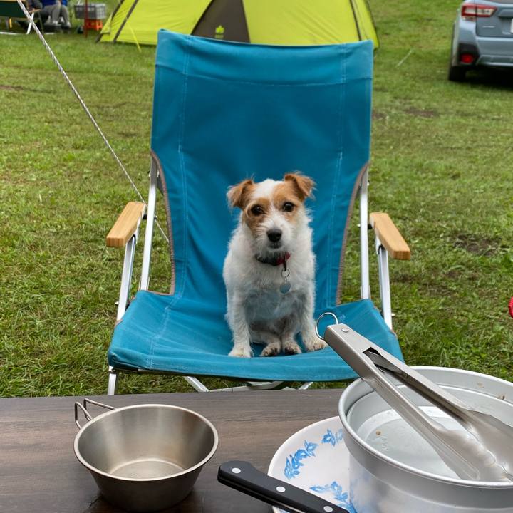 09cb954a e3bf 4d1c 8b1a 2397db67616f 1600856001563