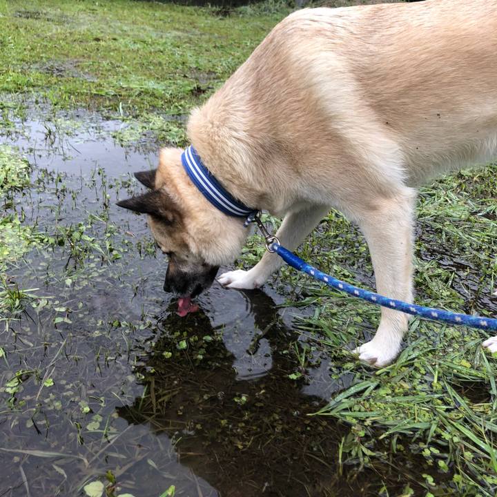 09cba417 cd62 4af3 a4ce efcfeb525042 1592568462842