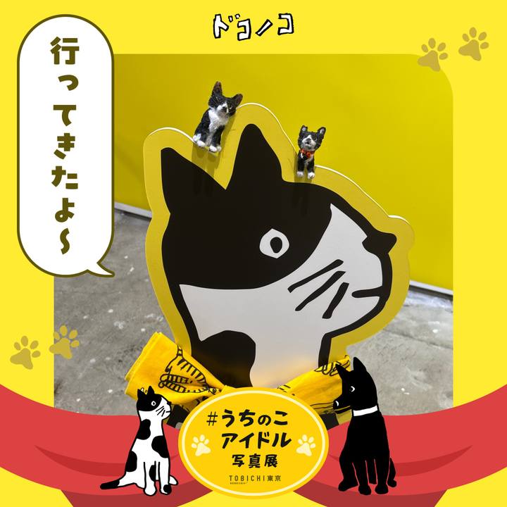 09cc02e2 45fe 4888 937d df833dd56ae9 1761639091002