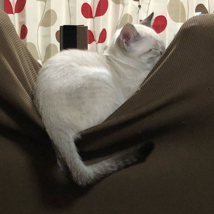 09cc0af6 5f19 4d5e 95f6 b7c47bdba69d 1602076808573