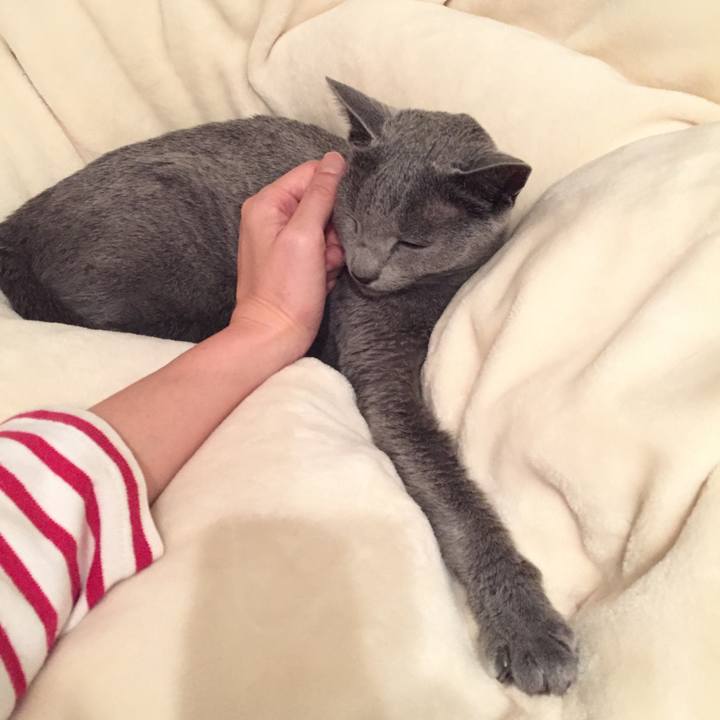 09cc11f7 fe31 4d4b b670 caaf6a74b292 1529622483289