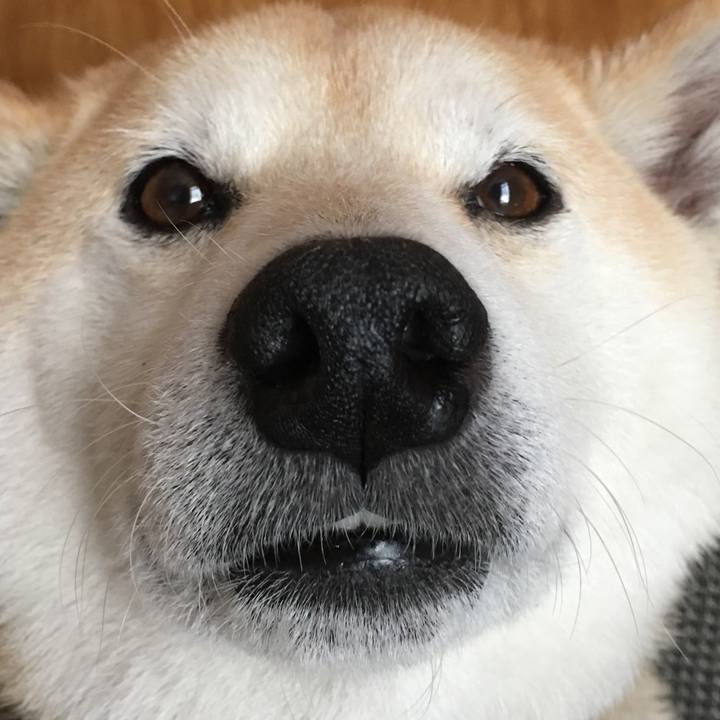 09cc5159 2af0 4ca3 ba20 3eb7147ca2d8 1524401168527