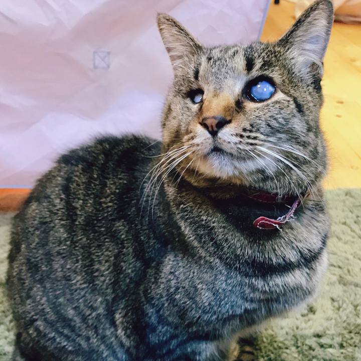 09cc5730 f9d6 444b 81a7 67f067a0fe2d 1518511644728