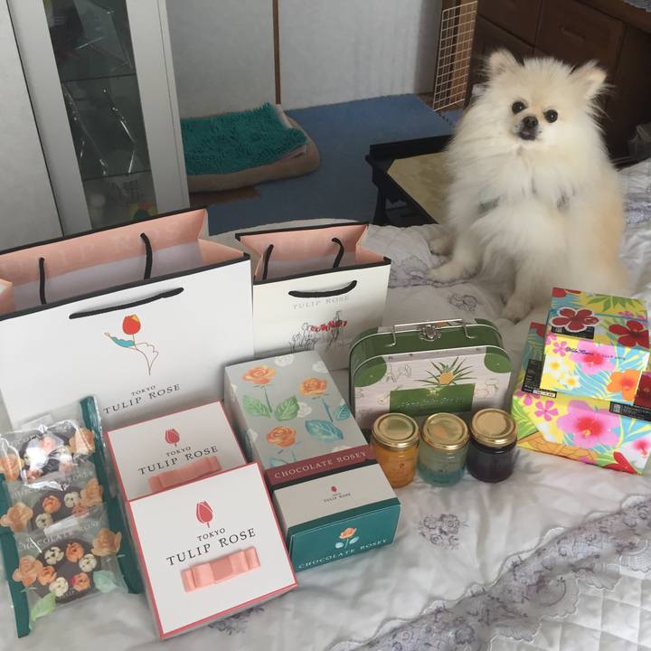 09ccac77 3110 4a64 ac1a c19abc94a880 1563323192930