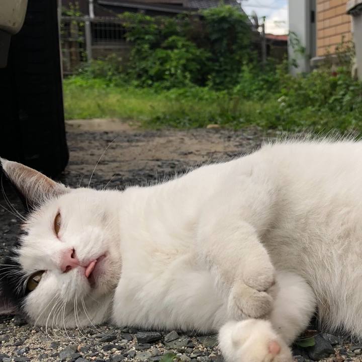 09ccb257 8f0c 427a b779 8818d58e5b99 1598394002413