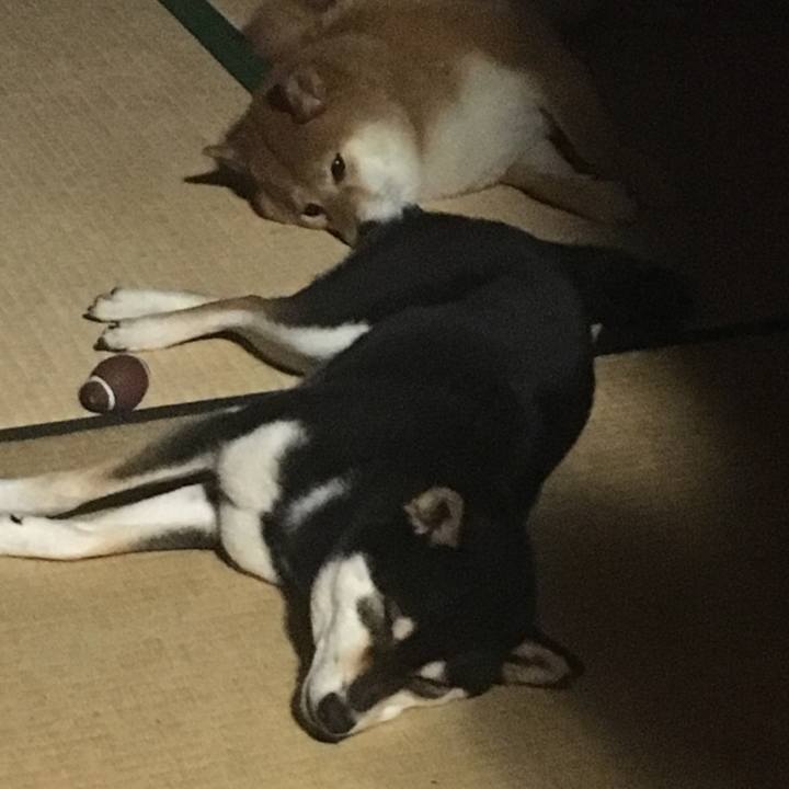 09ccd542 0fc6 4dd7 b954 bc0f56940a7b 1561064223825