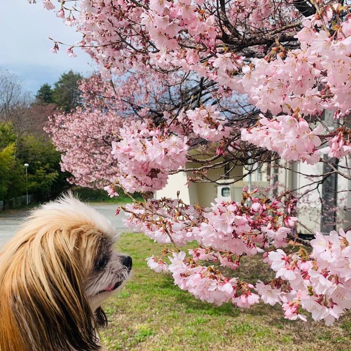 09cd0dab 0d1a 4315 8590 7a3ff44e055e 1617188446737