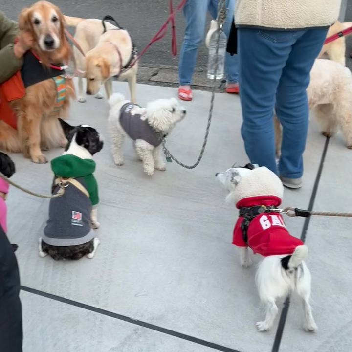 09cd815e 99c6 4d56 bd7f f2146ac79000 1765353180925