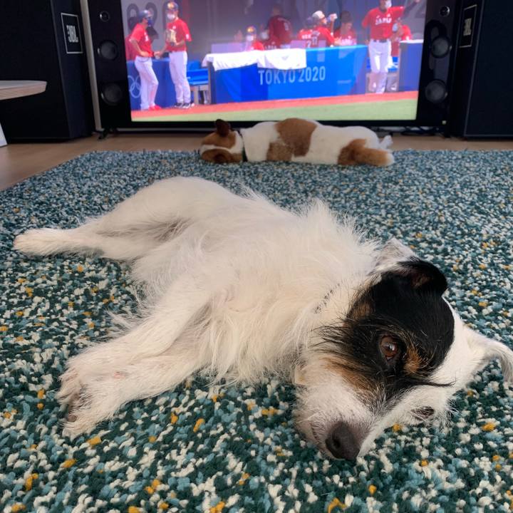 09cd9811 6a04 48d8 aa07 34ee86027161 1627704054640