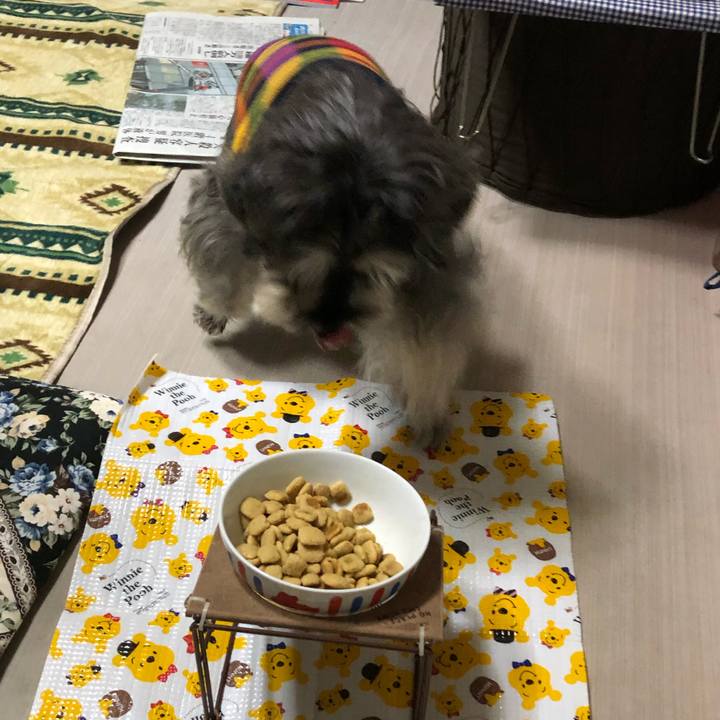 09cdd55e 9725 4252 b61b ec757b15becf 1639825829576