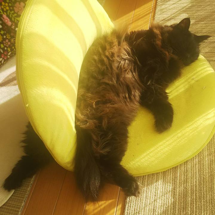 09cdec35 89f3 49cf 910a 88fd65ff83e2 1547426136799